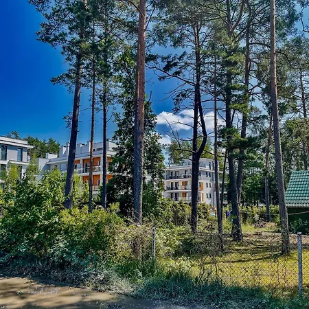 Forest Apartment